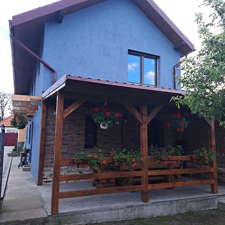 Casa Rustica Saceleana Villa Kültér fotó