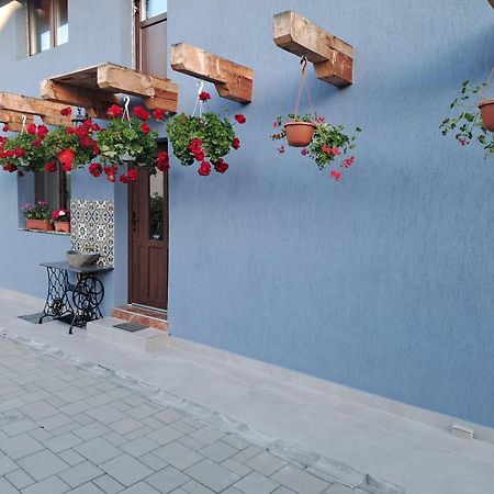 Casa Rustica Saceleana Villa Kültér fotó