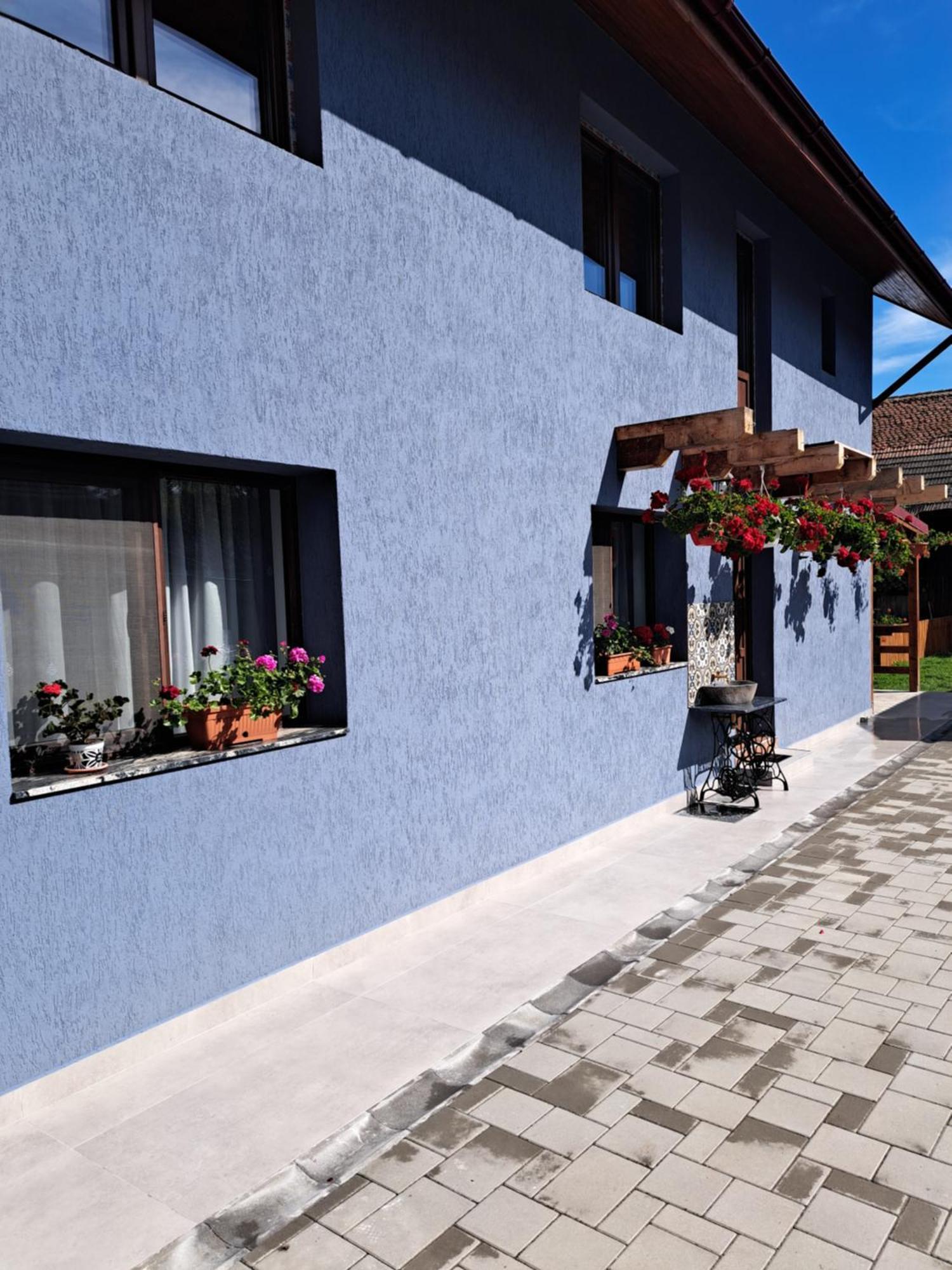 Casa Rustica Saceleana Villa Kültér fotó
