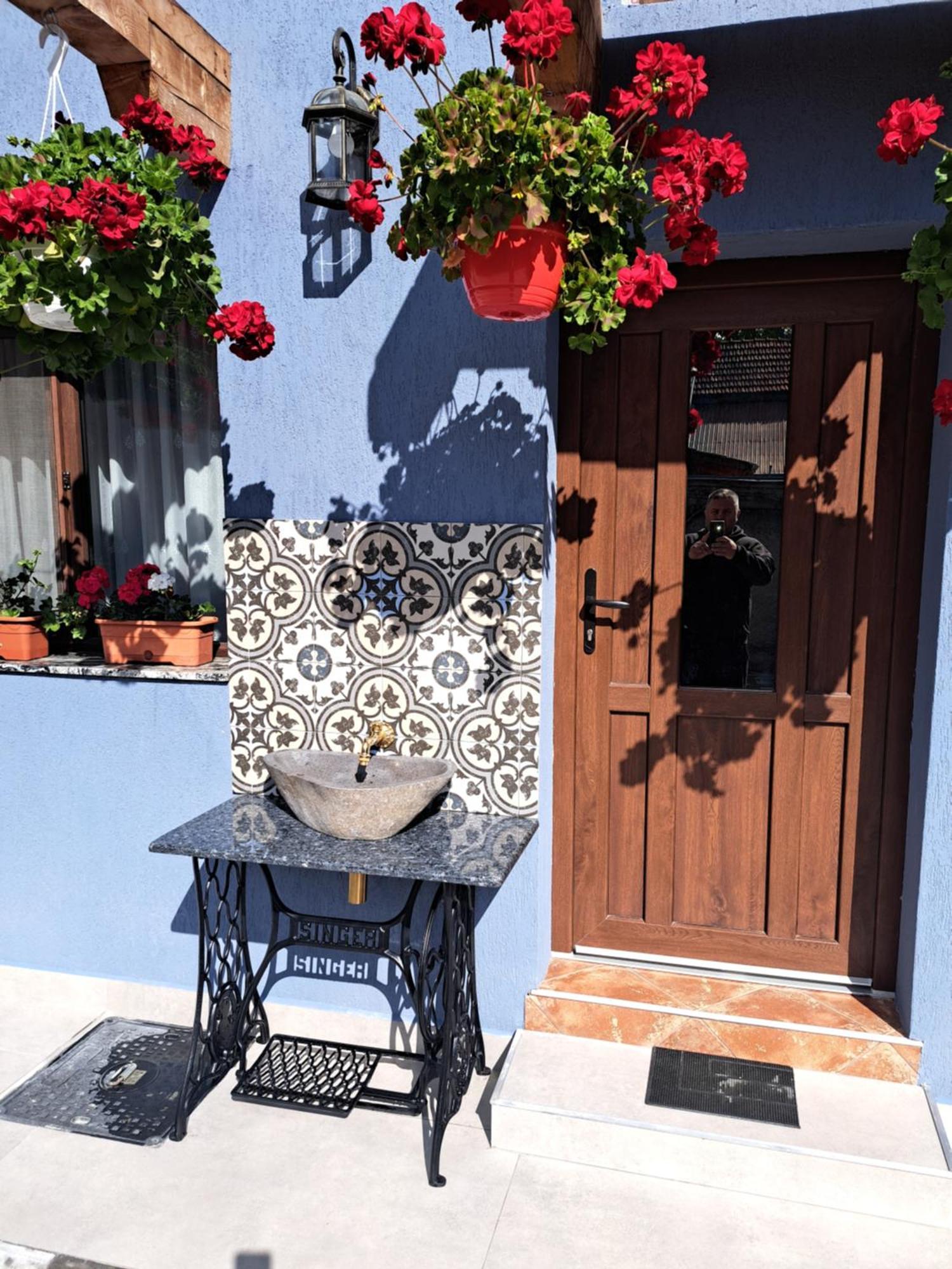 Casa Rustica Saceleana Villa Kültér fotó